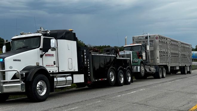 Heavy duty tow truck towing livestock trailer