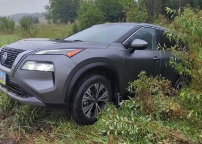 Gray car sticking out of thick brush