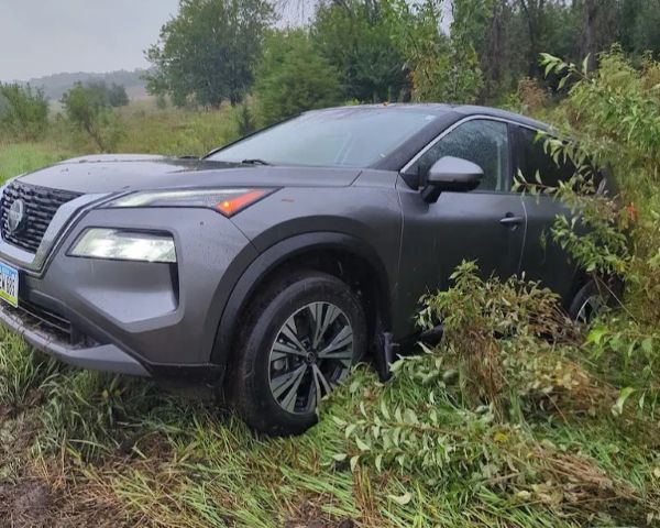 Car Off-Road Sticking out of Thisk Brush Gray car sticking out of thick brush