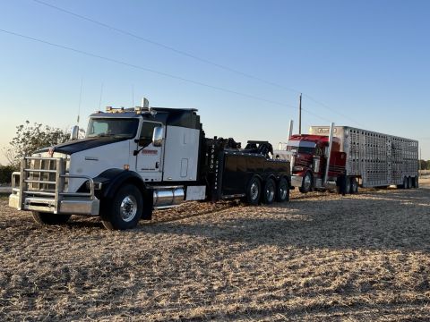 Livestock trailer being towed by heavy duty wrecker