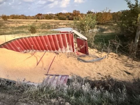 Trailer split open spilling grain